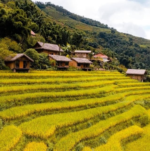 Các căn phòng tại Eco Palms House được xây trên thửa ruộng bậc thang